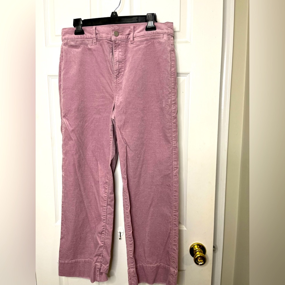 Loft Velvet Capri Pants Size 10